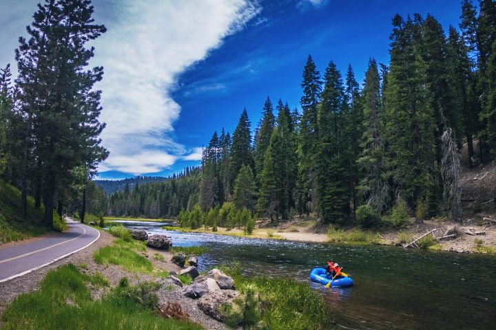 a small boat in a body of water surrounded by a forest